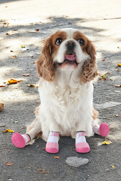 PawPrints Köpek Ayakkabısı - Lastikli Köpek Ayakkabısı - Kaydırmaz Kauçuk Taban Köpek Ayakkabısı