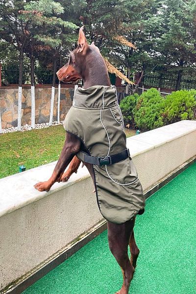 salya store Khaki Waterproof Dog Raincoat - 9-55kg, Large Breed Coat