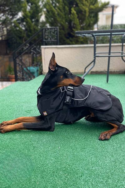 salya store Dog Clothing, Large Breed Dog Raincoat, Waterproof Dog Coat, Black 9-55kg