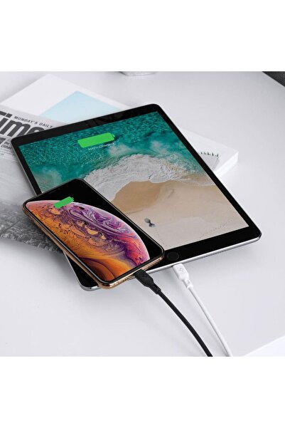 Spigen Essential USB-C to Lightning (1 Metre) Hızlı Şarj/Data Kablosu MFI Lisanslı C10CL Black - 000CA27021