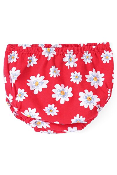 Babyhug Babyhug Cotton Knit Half Cap Sleeves Floral Printed Anti Bacterial Frock with Bloomer - Red