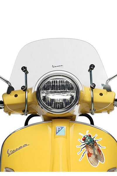 MegaSticker Autocolant pentru mașină, motocicletă, cască, laptop, parbriz 13x11 cm