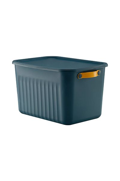 LIUWA Multipurpose Organizer, Box with Lid, Decorative Storage Box, Bathroom Kitchen Toy Organizer