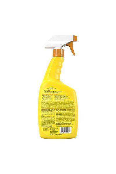 Goof Off RustAid Bathroom Rust Stain Remover Spray Gel 22oz ESX20005