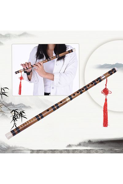 Choice Pluggable Handmade Bitter Bamboo Flute/Dizi Traditional Chinese Musical Woodwind Instrument in E ...