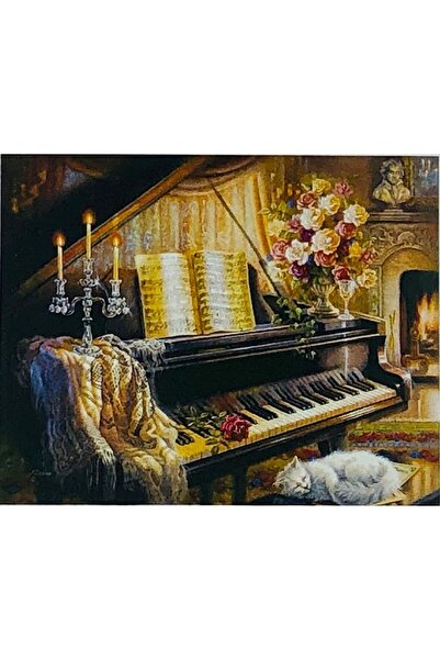 Hobiline Hı Stone 5d Elmas Boncuk Taş Işleme Mozaik Goblen Kit 50x40cm PİYANO