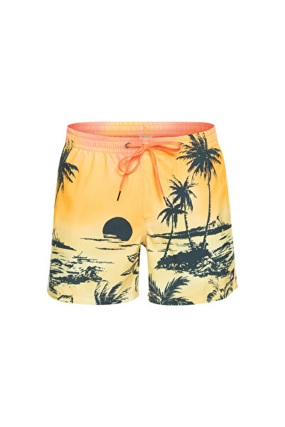 Quiksilver PARADISE 15 M JAMV ERKEK VOLLEY SHORT EQYJV03999