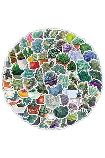 Choice 100Pcs Succulent Cute Stickers Pack Aesthetic Stationery Supplies Lot Kawaii Office Teacher Schoo...