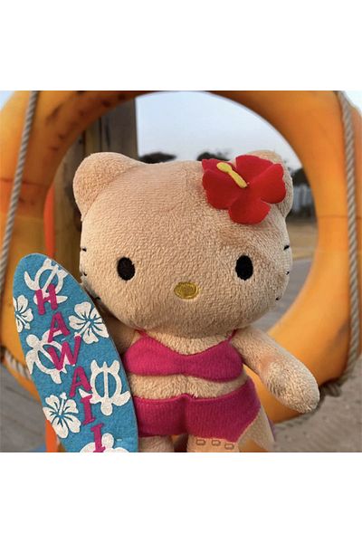 Choice Sanrio Hello Kitty  Doll Keychain Pendant Cartoon Kt Cat Stuffed Plushies Key Ring Bag Accessorie...