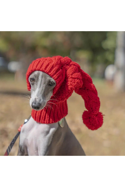Choice قبعة صوف شتوية محبوكة يدويًا باللون الأحمر للكلاب السلوقية الكبيرة، إك...