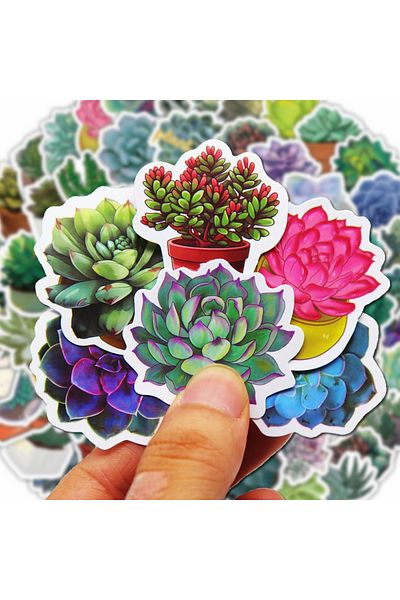 Choice 100Pcs Succulent Cute Stickers Pack Aesthetic Stationery Supplies Lot Kawaii Office Teacher Schoo...