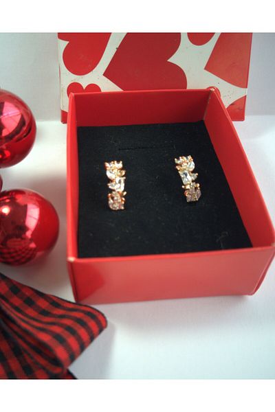 celisia Special Gift for Lover - Earrings