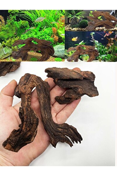 Choice مجموعة من 3 قطع من خشب الطفو الطبيعي لأحواض السمك - تصميم أحواض السمك ...