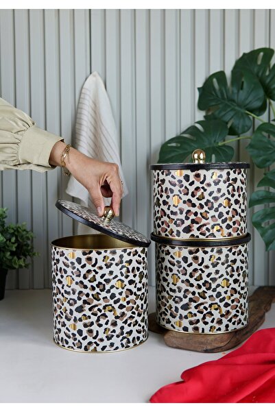 EVLE Erb31v4 Yuvarlak Kutu Ø175, Topuz Kulp, 3 Lü Set, Leo