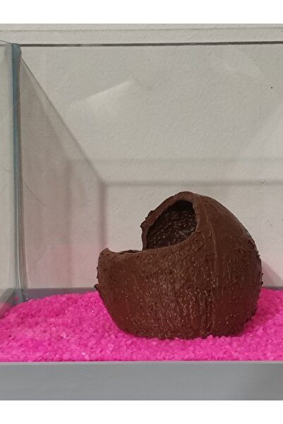 Meeori Balık Yuvası × Testi × Gizlenme Magrası × Fanus × Küçük Akvaryum ve Bü...