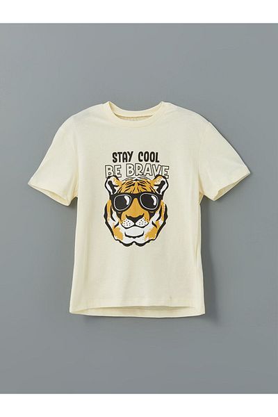LC Waikiki Crew Neck Printed Boys' T-Shirts and Shorts 2-Piece