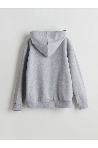 LC Waikiki Lcw Hooded Boy Sweatshirt