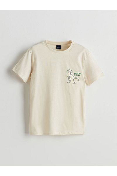 LC Waikiki Lcw Eco Crew Neck Boy T-Shirt