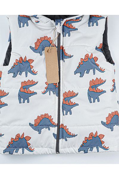Baby Minty Dinozor Patterned Hooded Children's Vest