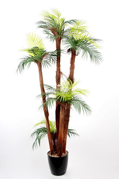 Yapay Çiçek Deposu Yapay Palmiye Ağacı 5 Gövdeli 36 Yaprak 170 cm