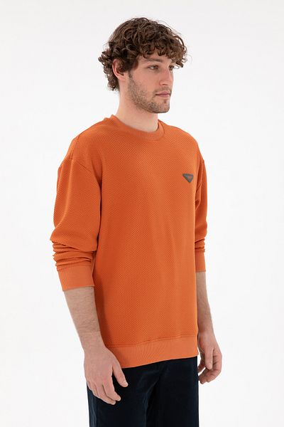 U.S. Polo Assn. Men's Cinnamon Sweatshirt 50290777 -Vr191