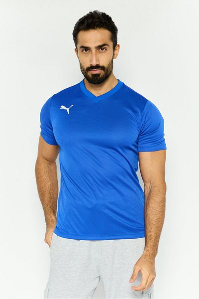 Puma Men Sportwear Fit Short Sleeves Training T-shirt, Blue