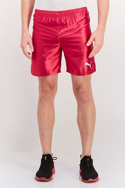 Puma Men Sportswear Fit Training Shorts, Maroon