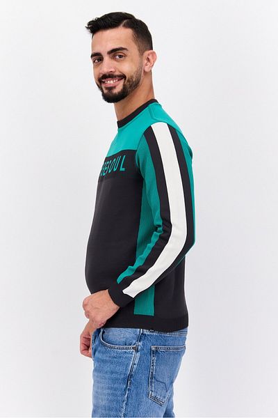 freesoul Men Crew Neck Long Sleeves Brand Logo Sweatshirt, Green