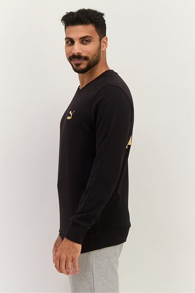 Puma Men Sportswear Fit Training Sweatshirts, Black