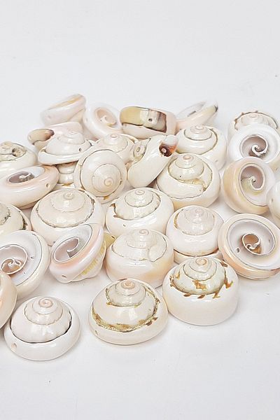 Hayalperest boncuk Creamy Curved Sea Shell