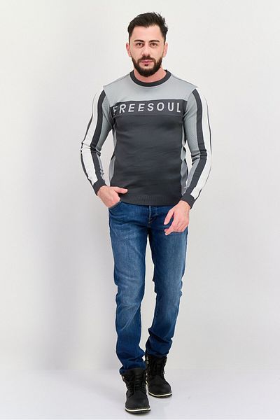 freesoul Men Crew Neck Brand Logo Long Sleeve Sweatshirt, Gray