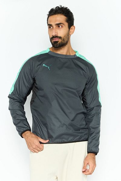 Puma Men Sportwear Fit Long Sleeves Training Sweatshirt, Grey