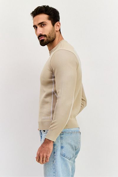 freesoul Men Crew Neck Brand Logo Long Sleeve Sweatshirt, Beige