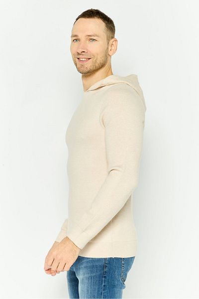 Threadbare Men Plain Long Sleeves Hoodies, Beige