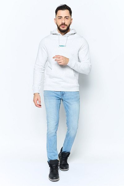 PARLEZ Men Hooded Long Sleeves Embroidered Sweatshirt, Grey
