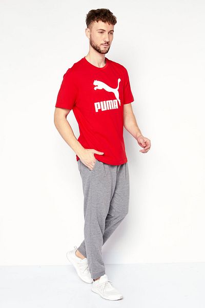 Puma Men Sportswear Fit Brand Logo Training T-Shirt, Red