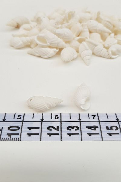 Hayalperest boncuk White Oyster Seashell