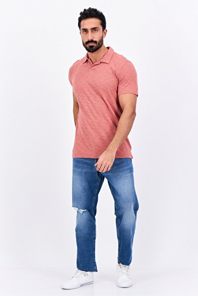 GAP Men Regular Fit Stripe Short Sleeves Polo Shirt, Red