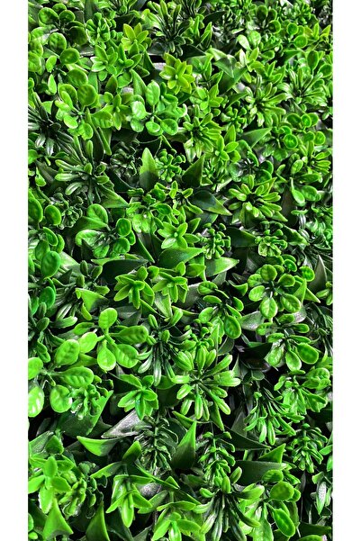 NAHAMİS TRADE 1 Metrekare  AA Kalite İthal Duvar Kaplama Yapay Panel Yapraklı Şimşir Dolgun Model 1 Adet