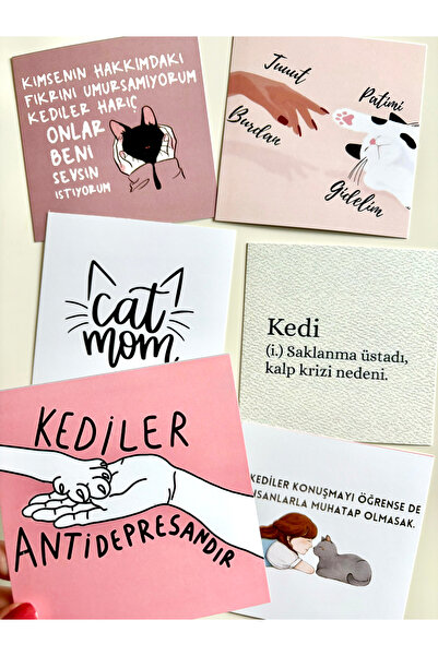 Pankart Evi Set de cărți decorative pentru tablă cu motto, 6 bucăți, pentru m...