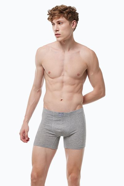 Malabadi Ανδρικό γκρι Premium Collection Modal Long Boxer 250