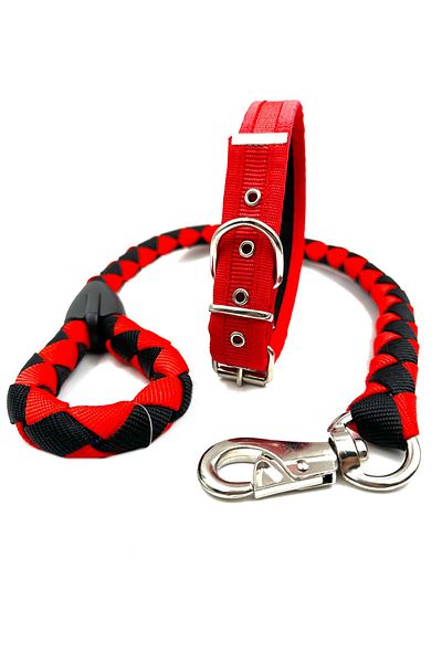 Tasma Market Medium Breed Dog Walking and Neck Collar Set