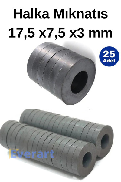 everart Yuvarlak Delikli Mıknatıs Mini 25 Adet 17,5x7,5x3 mm Mini Mıknatıs Se...
