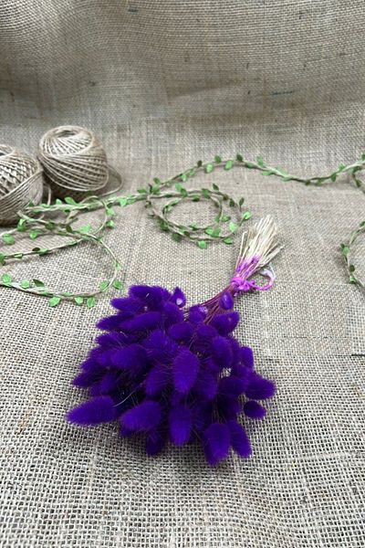 Hayalperest boncuk Φυσικό αποξηραμένο λουλούδι Plum Cotton Weed Lagurus