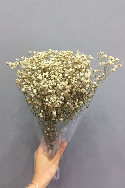 Hayalperest boncuk Κρέμα Cipso Shocked Dry Flower