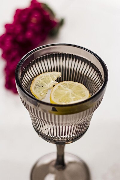 Hangora Acrylic Smoked 6-Piece Glass & Water Soft Drink Coffee Side Cup 300 ml (Not Glass)