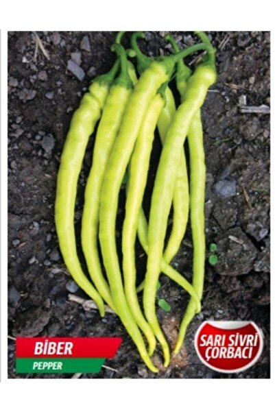 AKSARAY TOHUMCULUK Sarı Sivri Çorbacı Biber Tohumu 25 Adet Tohum Aksaray Tohumculuk
