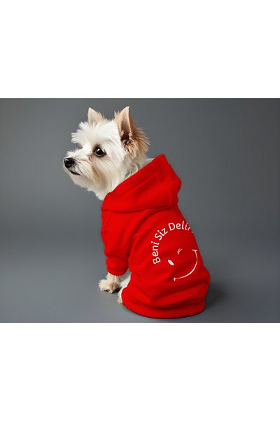 MPZ Pets Cat and Dog Outfit & Gown - Red Hoodie You Drive Me Insane