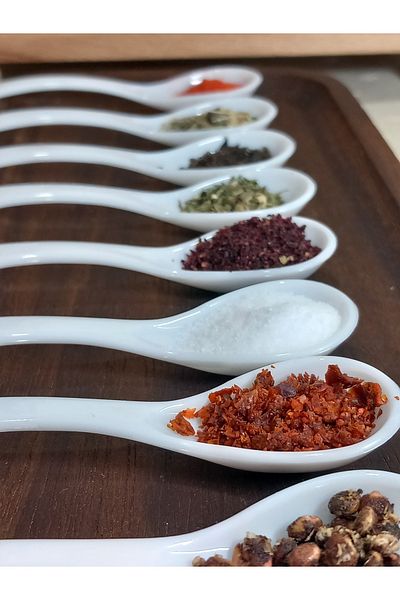 shop Seasoning Spoon 12Pcs