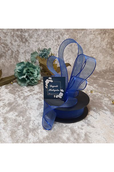 GÜLSEMALİ 20 m. Panglică Chiffon Blue Wheel - 2,5 cm